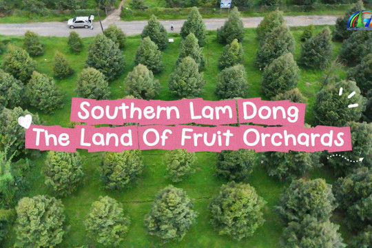 Southern Lam Dong – The Land Of Fruit Orchards