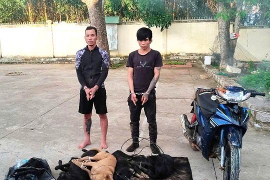 Người dân La Dạ phối hợp lực lượng chức năng truy bắt nhóm trộm chó manh động
