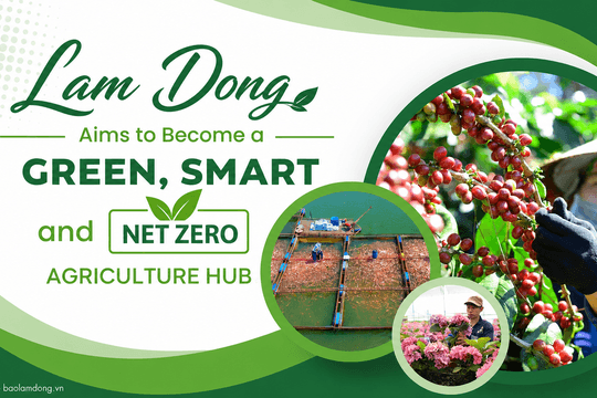 Lam Dong Aims to Become a Green, Smart and Net-Zero Agriculture Hub
