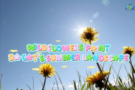 Wildflowers Paint Da Lat's Summer Landscape