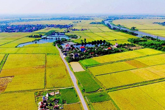Cách xác định nhân khẩu được hỗ trợ khi thu hồi đất ruộng