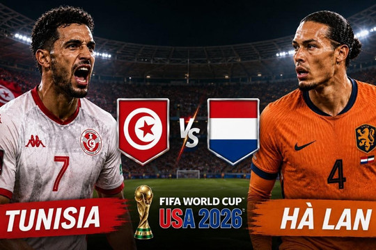 Lịch sử đối đầu giữa Tunisia vs Hà Lan: Cơn lốc màu da cam vượt trội, chờ màn tái đấu nhiều duyên nợ