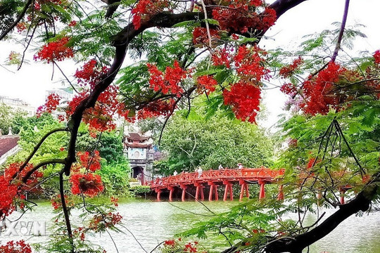 29 luật quan trọng bắt đầu có hiệu lực thi hành kể từ ngày 1/7 sắp tới
