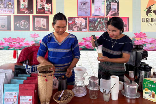 Leveraging Local Strengths Through OCOP Products