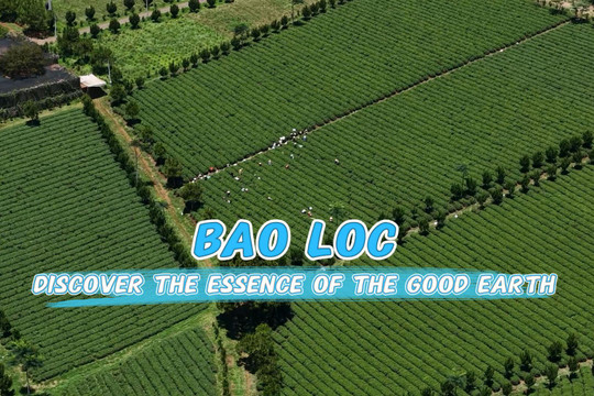 Bao Loc – Discover the essence of the good earth