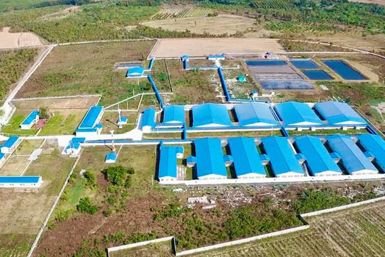 Đất nông nghiệp góp vốn đã hết hạn, có được gia hạn sử dụng?