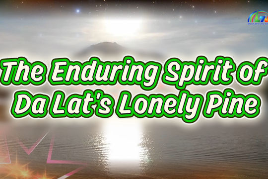 The Enduring Spirit of Da Lat's Lonely Pine