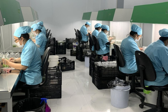 Chọn tạo, nhân giống cây trồng, vật nuôi mới có đặc tính ưu việt
