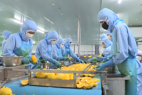 Lam Dong Seeks to Unlock More Revenue from Key Agricultural Exports