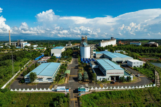 Resolution No. 10 Paves the Way for Lam Dong Businesses to Join FDI Value Chains More Deeply