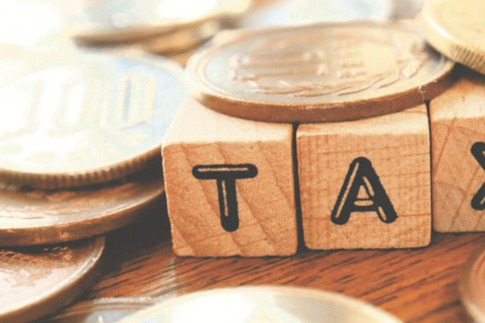 Đất đấu giá để xử lý nợ xấu có chịu thuế giá trị gia tăng?