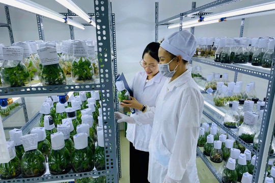 Bridging Science and Technology with Everyday Life