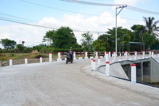 Những nhịp cầu nối bình yên qua mùa lũ