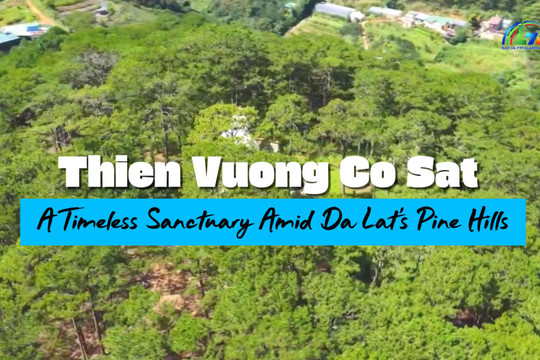 Thien Vuong Co Sat – A Timeless Sanctuary Amid Da Lat's Pine Hills