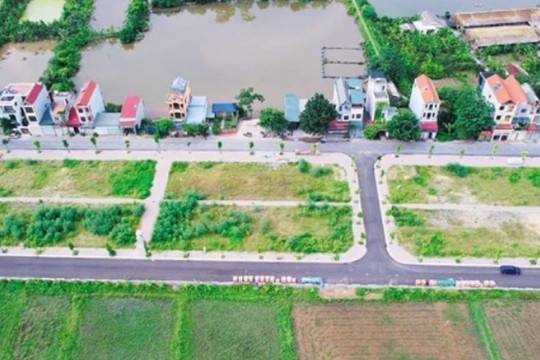 Trúng đấu giá đất thi hành án, hồ sơ đăng ký gồm những gì?
