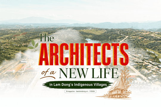 The Architects of a New Life in Lam Dong's Indigenous Villages