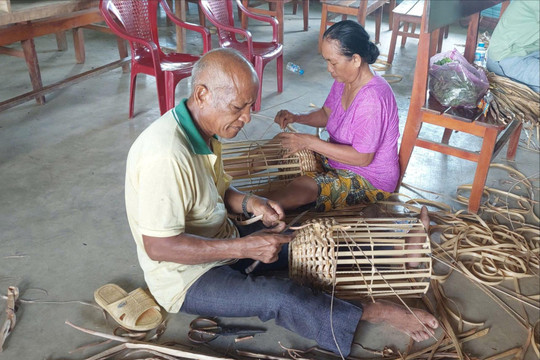 Đào tạo nghề gắn với sinh kế bền vững cho lao động nông thôn