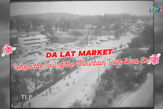 Da Lat Market – Where the Soul of the Mountain Town Lives On