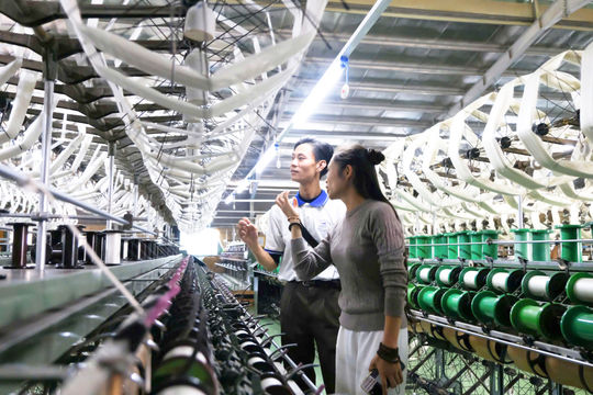 Industry Sustains Growth, Creates New Investment Opportunities for Lam Dong