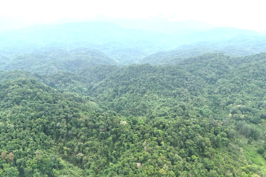 Safeguarding Southern Lam Dong's Green Lung