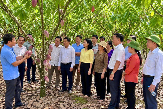 Tánh Linh chung tay chăm lo an sinh xã hội, giảm nghèo bền vững