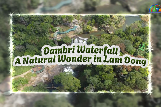 Dambri Waterfall: A Natural Wonder in Lam Dong