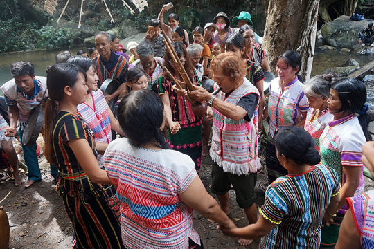 Indigenous Knowledge Helps Preserve Lam Dong’s Forests