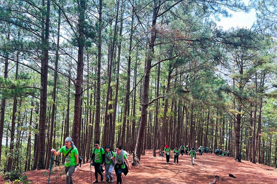 Sports Tourism Connects Communities: A New Economic Driver for Lam Dong