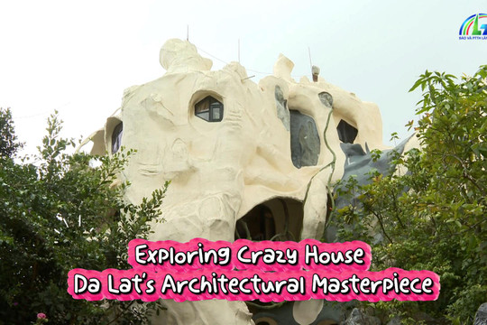Exploring Crazy House – Da Lat's Architectural Masterpiece