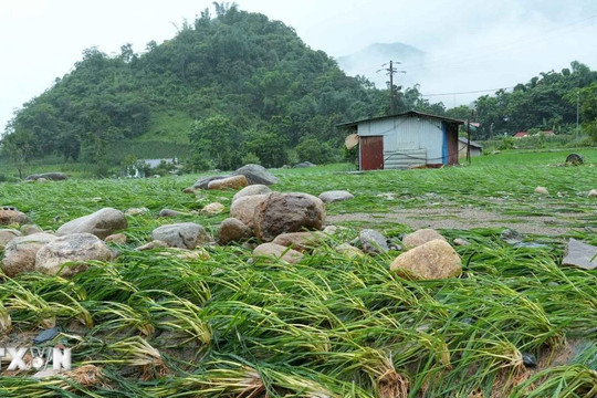 Thời tiết ngày 16/7: Mưa to tại nhiều khu vực, cảnh báo sạt lở ở vùng núi Bắc Bộ