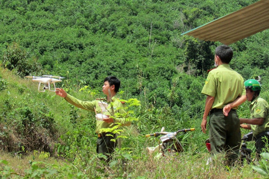 Chế độ phụ cấp đối với người làm công tác quản lý, bảo vệ rừng