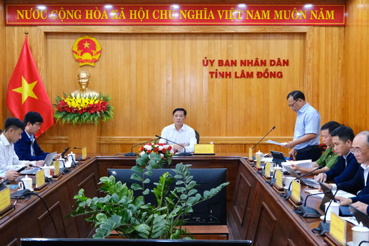 Lâm Đồng phân loại hơn 1,7 triệu thửa đất phục vụ xây dựng cơ sở dữ liệu đất đai
