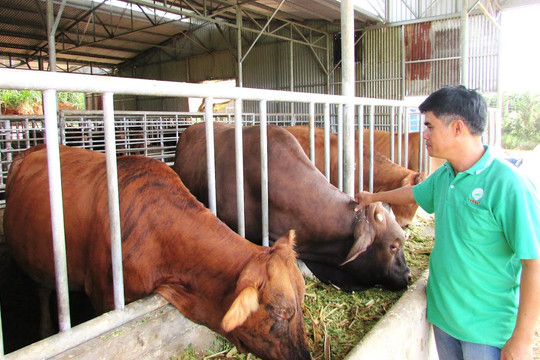 Driving sustainable agricultural growth