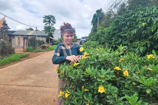 Tô Thị Hồng Vân - nữ cán bộ thôn dân tộc Tày đảm việc nước, giỏi việc nhà