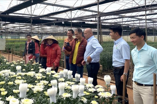 Thu hút đầu tư để nông sản vươn tầm