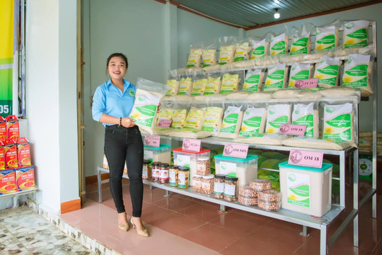 Liên kết sản xuất - động lực nâng chất lượng hạt gạo Tánh Linh