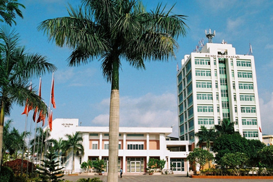Bộ môn trong trường đại học phải trực thuộc trường hay khoa?