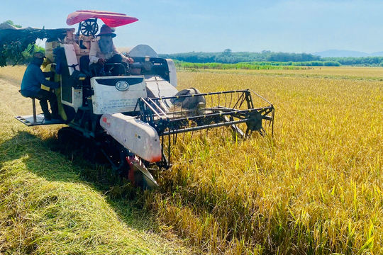 Nông dân Bắc Ruộng mạnh dạn làm giàu