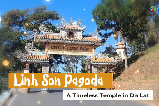 Linh Son Pagoda – A Timeless Temple in Da Lat