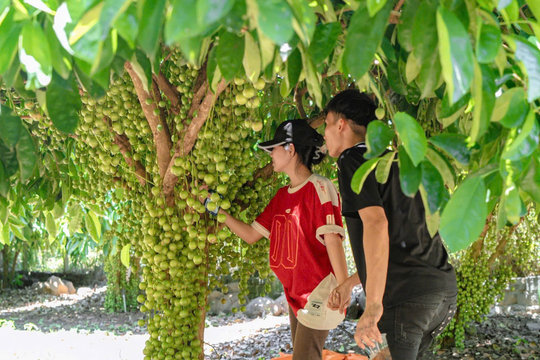 Tra Tan seeks to unlock its tourism potential