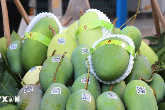 Bộ Công Thương sẽ thúc đẩy đối thoại với Hoa Kỳ sau kết luận thuế Mục 301