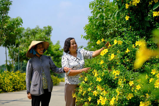 Trên chặng đường xây dựng nông thôn mới