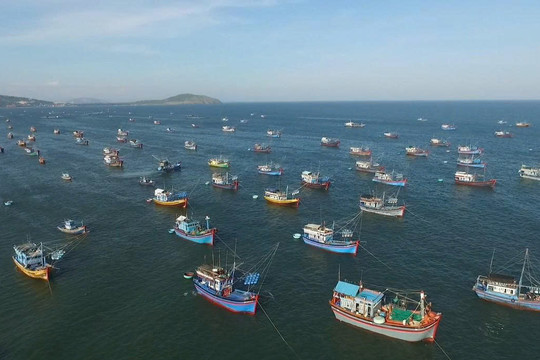 Từ biển mở ra dư địa phát triển mới cho Lâm Đồng