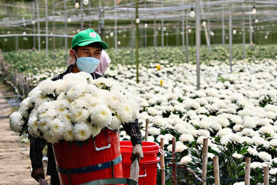 Tạo sinh kế, mở hướng thoát nghèo bền vững