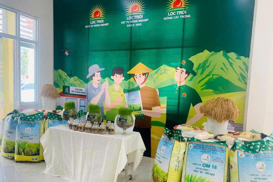 Cánh đồng mẫu lớn - hướng đi hiện đại ở Tánh Linh