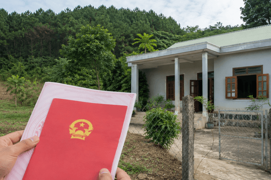 Đất lâm trường giao làm nhà ở trước 2004 có thể được cấp Giấy chứng nhận
