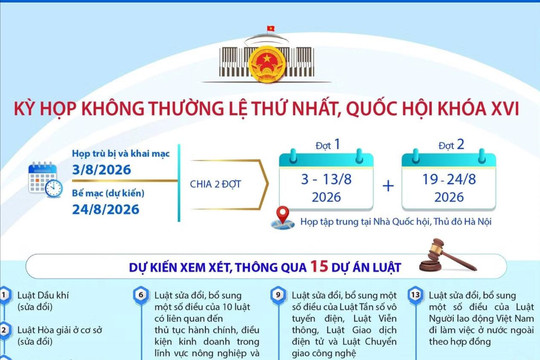 Kỳ họp không thường lệ thứ Nhất, Quốc hội khóa XVI