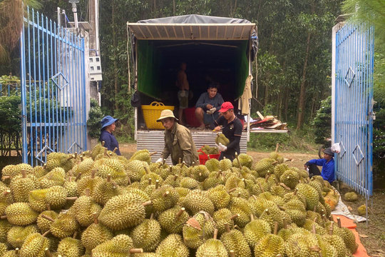 Xây dựng cộng đồng sản xuất chuyên nghiệp