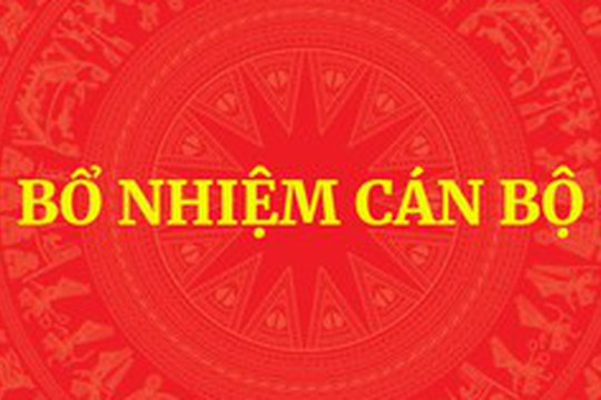 QUY ĐỊNH MỚI: Tiêu chuẩn, điều kiện bổ nhiệm công chức giữ chức vụ lãnh đạo, quản lý