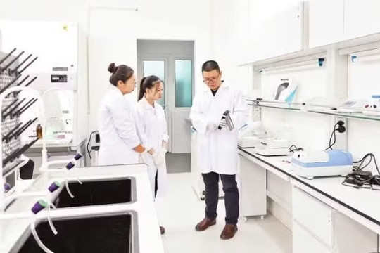 Triển khai chính sách về phát triển và sử dụng nguồn nhân lực